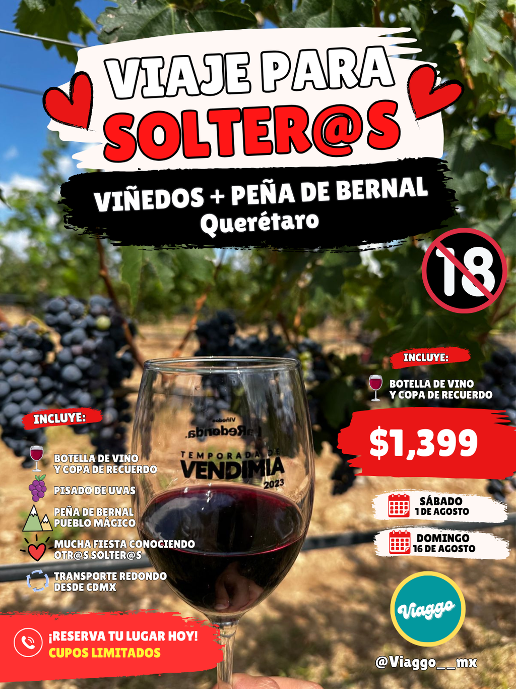 VIAJE PARA SOLTEROS- VIÑEDOS Y PEÑA DE BERNAL