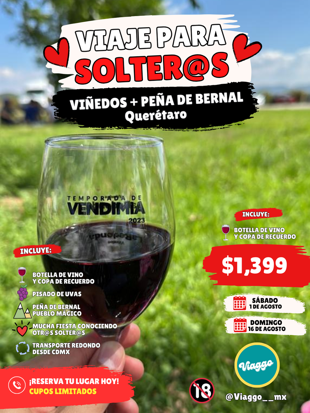 VIAJE PARA SOLTEROS- VIÑEDOS Y PEÑA DE BERNAL